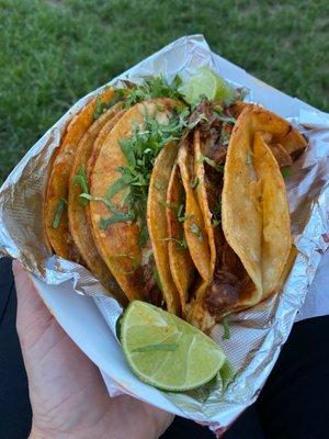 Birrilla Birria Special Tacos