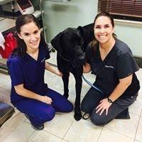 Sisters, Dr. April Horn and Dr. Monica Moore