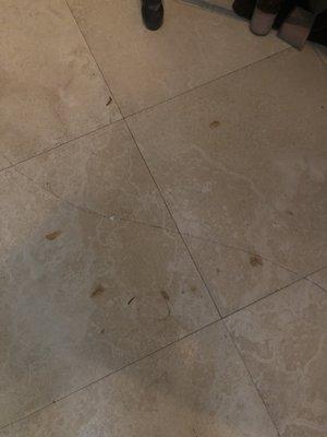 Living room floor - not swept or mopped