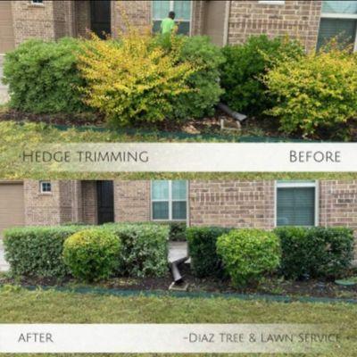 Diaz Tree & Lawn Service