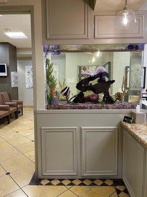 Appointment setting area with a beautiful fish tank.