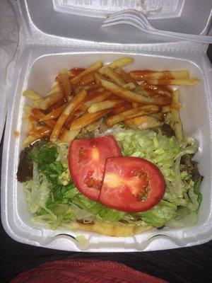 Gyro with fries