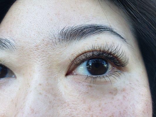 LashSpot SF