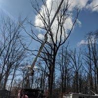 Allegheny Professional Tree Care & Landscaping LLC