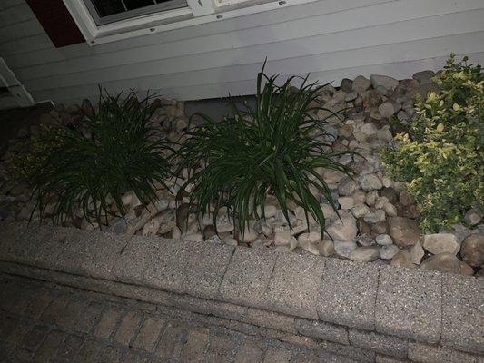 Night shot of finished rocks in planter boxes