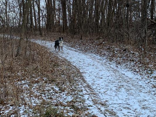 The walking trail with amazing field at the top