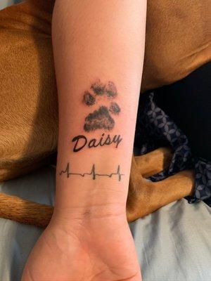 Paw print Tattoo