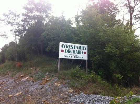 Ayres Orchard in Owen County--come pick your own!