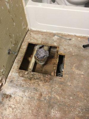 So in removing tile to replace with newer. Wouldn't you know the flange was nailed to the sub floor