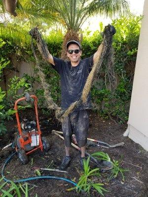 Jeremy holding another huge section of roots that he pulled from our outside drain.