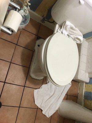 Toilet seat wasn't the same size as the toilet bowl.  It was longer so the whole seat moved when you sat on it.