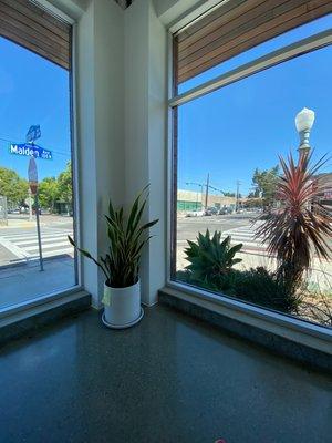 Waiting area for the Sun room.