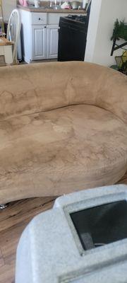 upholstery cleaning 310 8173903