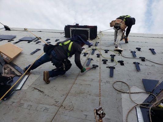 Roof Installation