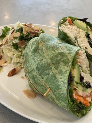 Chicken Salad wrap with Avo and a cucumber and kale salad.