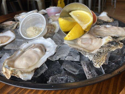 Dozen raw oysters