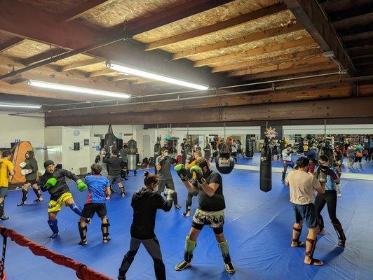 Muay Thai - All Levels