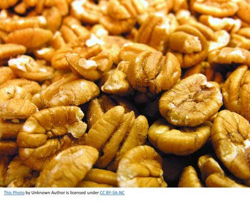 Palestine Texas Pecans