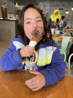 Kid approved chocolate brownie