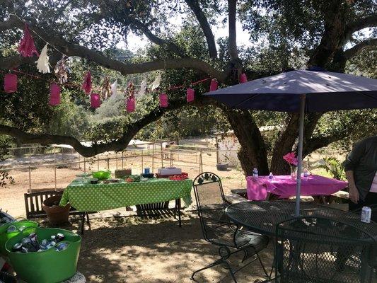 Party area next to the riding arena.  Rustic but easy to pretty-up with some color and decor :)