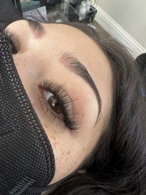 Whispy Light Volume Extensions - Dense Lash Line