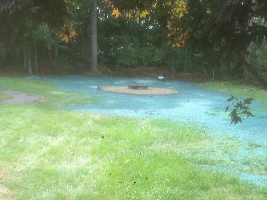 Fire pit area and hydroseed. Customer had several large trees taken down and we did the rest.