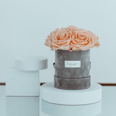 Bebe Round Box with preserved roses in Peach Souffle shade