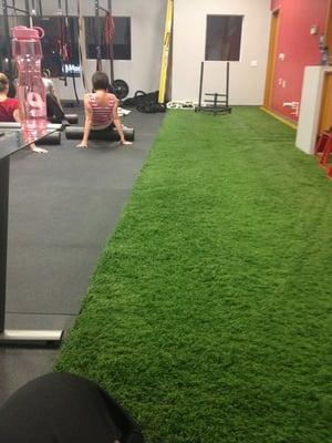 The prowler on the fake grass.