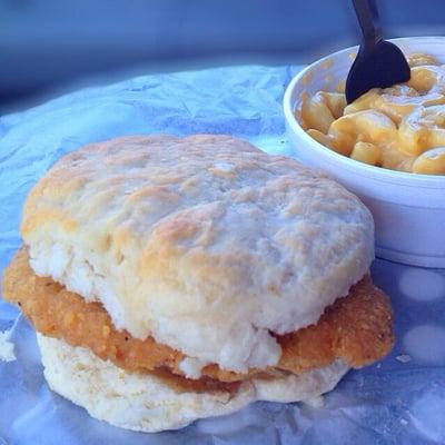 Chicken Filet Biscuit w/ Mac-n-Cheese: PG's Chicken & Biscuits - Reidsville NC