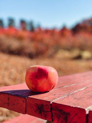 Green Mountain Orchards