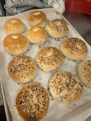 Homemade bagels fresh out of the oven!