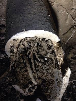 Sewer pipe with 100% root intrusion! Sewer maintenance is essential to great drainage and protection of your home/business