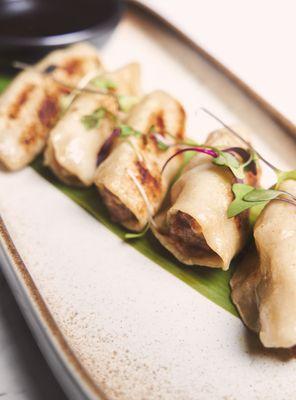 Homemade pan-fried pork dumplings