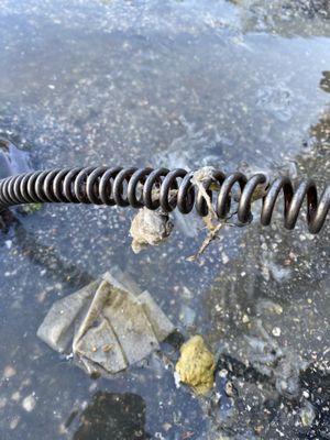 Mainline sewage stoppage at a Gordon Food store