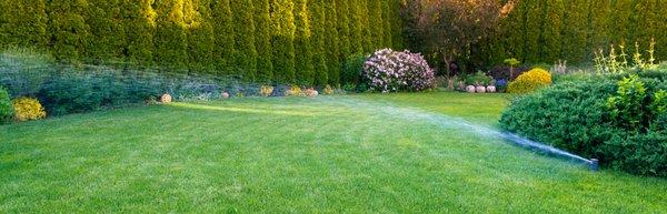 The top organic products for turf, plants and trees - for professional and home use!