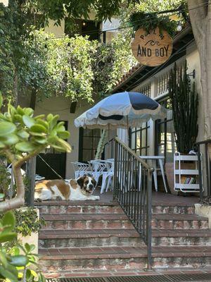 Cutest outside seating area.