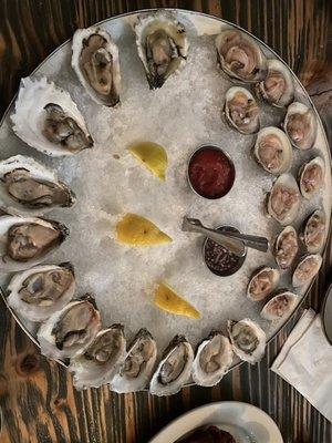 oysters & clams