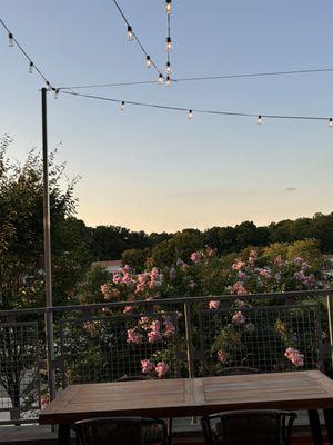 Sunset on the patio.