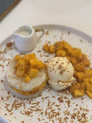 Mango Mango Dessert