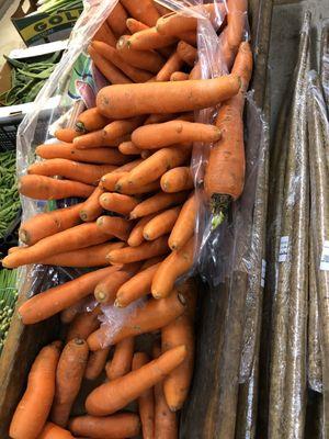 Huge carrots!