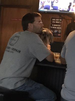 Dog on the bar table. Disgusting.