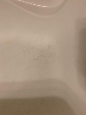 Mold in the bathtub post construction