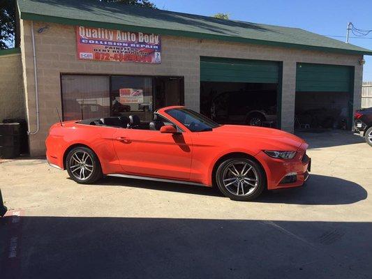 Nothing says summer like a top-down beautifully colored Mustang!