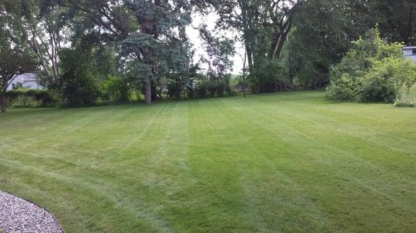 Big open Back yard! Time to line it up!