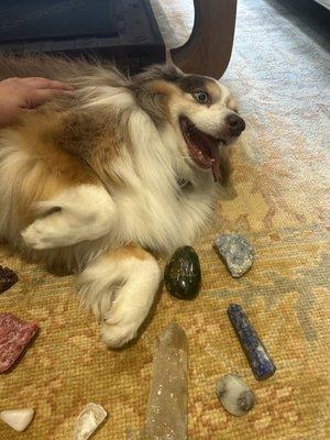 in home crystal reiki for animals