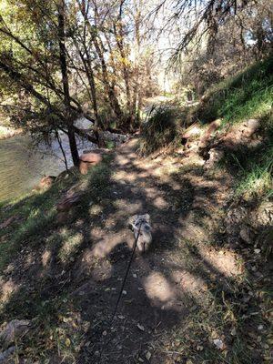 Walkway along Verde River inside RV Park.