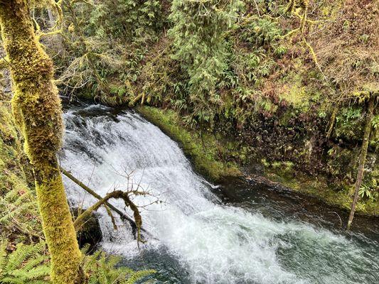 Silver Falls State Park - Drake