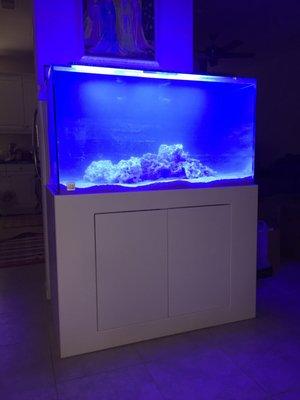 Thank you Dave for setting up my aquarium today, very satisfy with their professional service