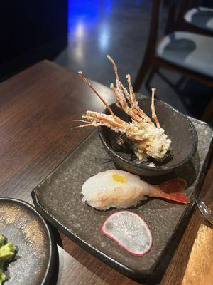 Ama ebi (sweet shrimp)