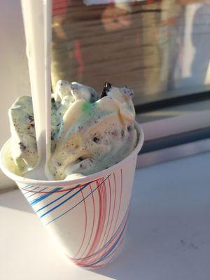 Mint oreo arctic